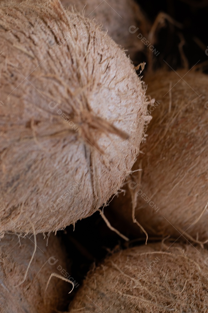 Muitos cocos descascado juntos