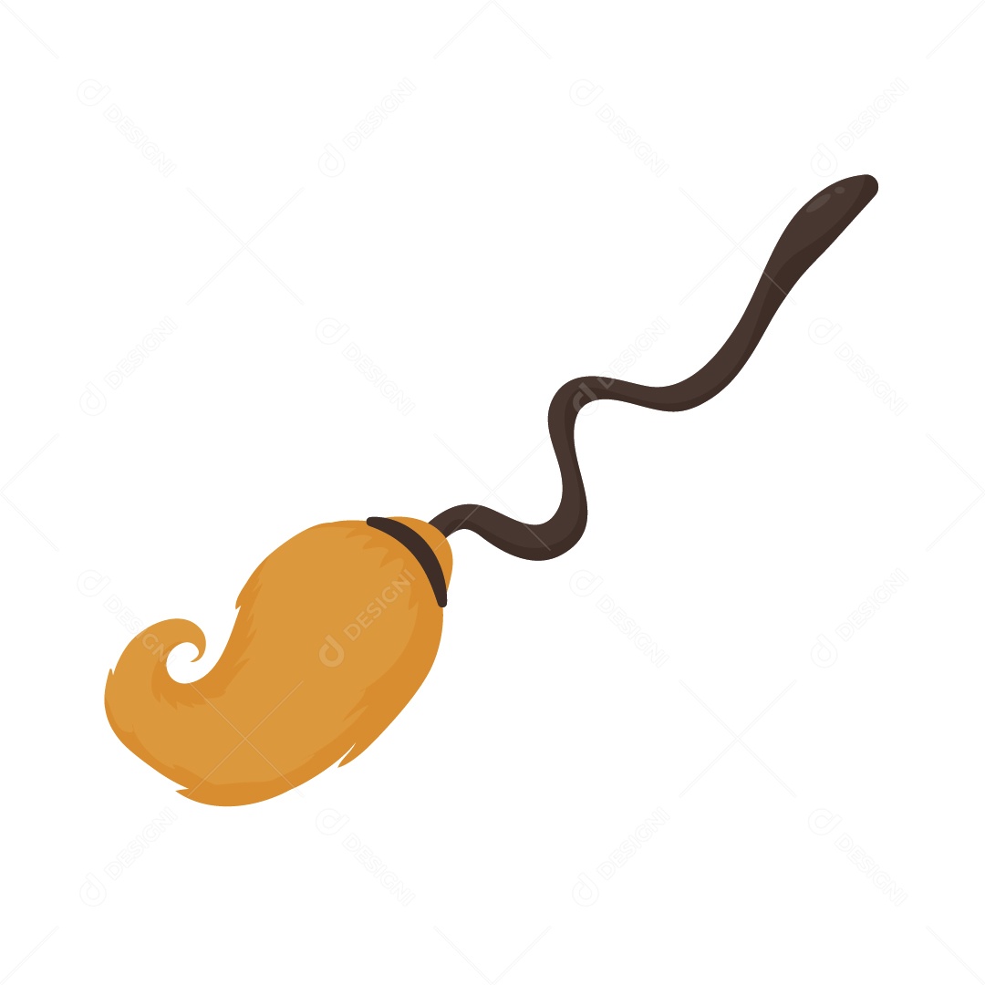 Vassoura de Bruxa Ilustração Vetor EPS