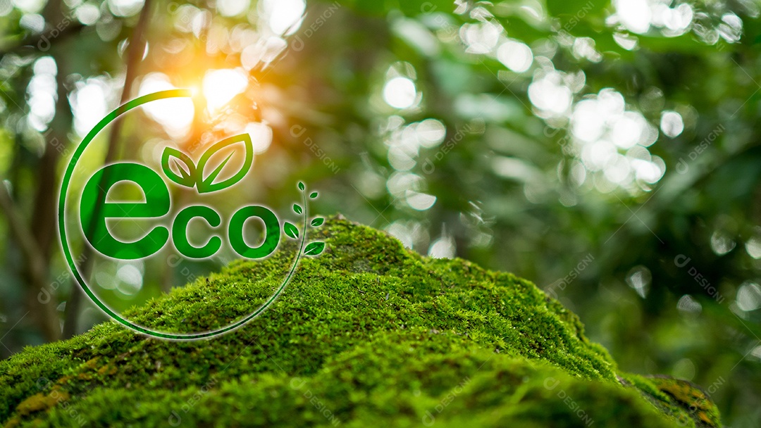 Conceito de redução de emissões de CO2, ambiente limpo e amigável