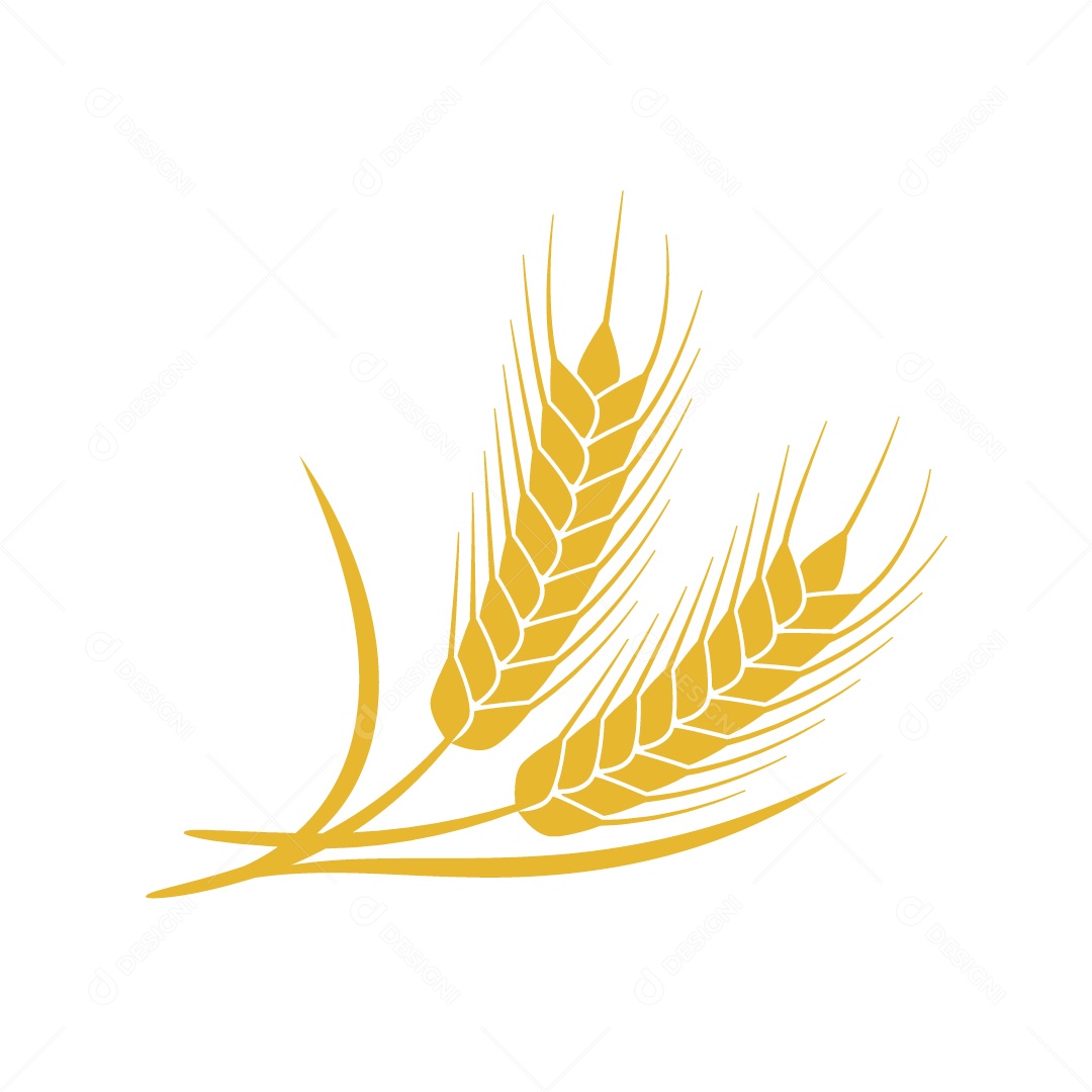 Trigo Ilustração Vetor EPS