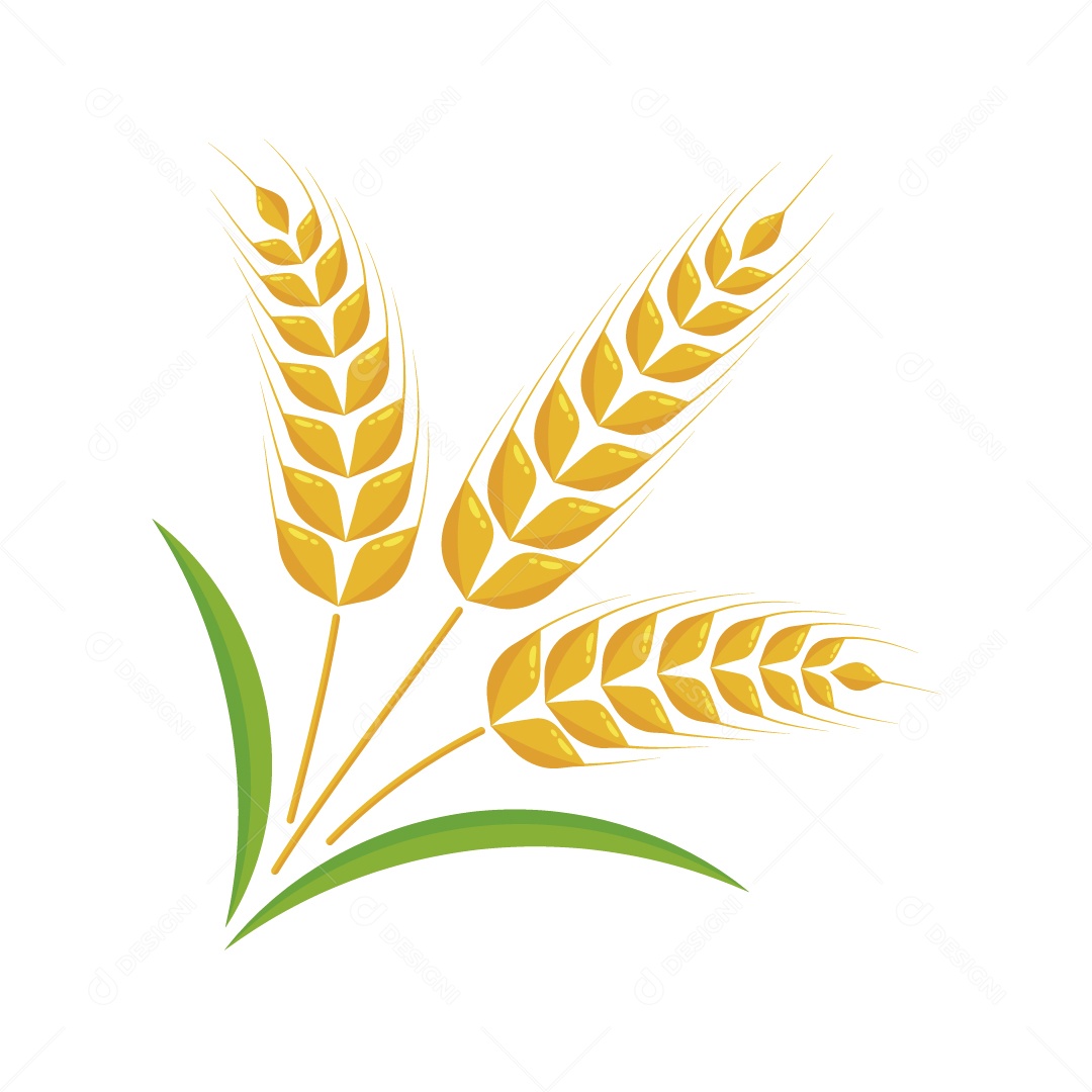 Trigo Ilustração Vetor EPS