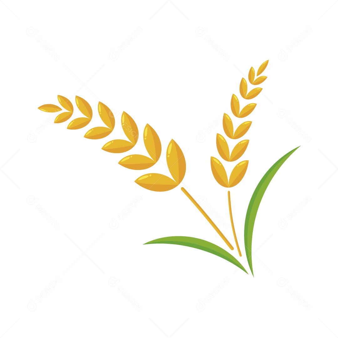 Trigo Ilustração Vetor EPS