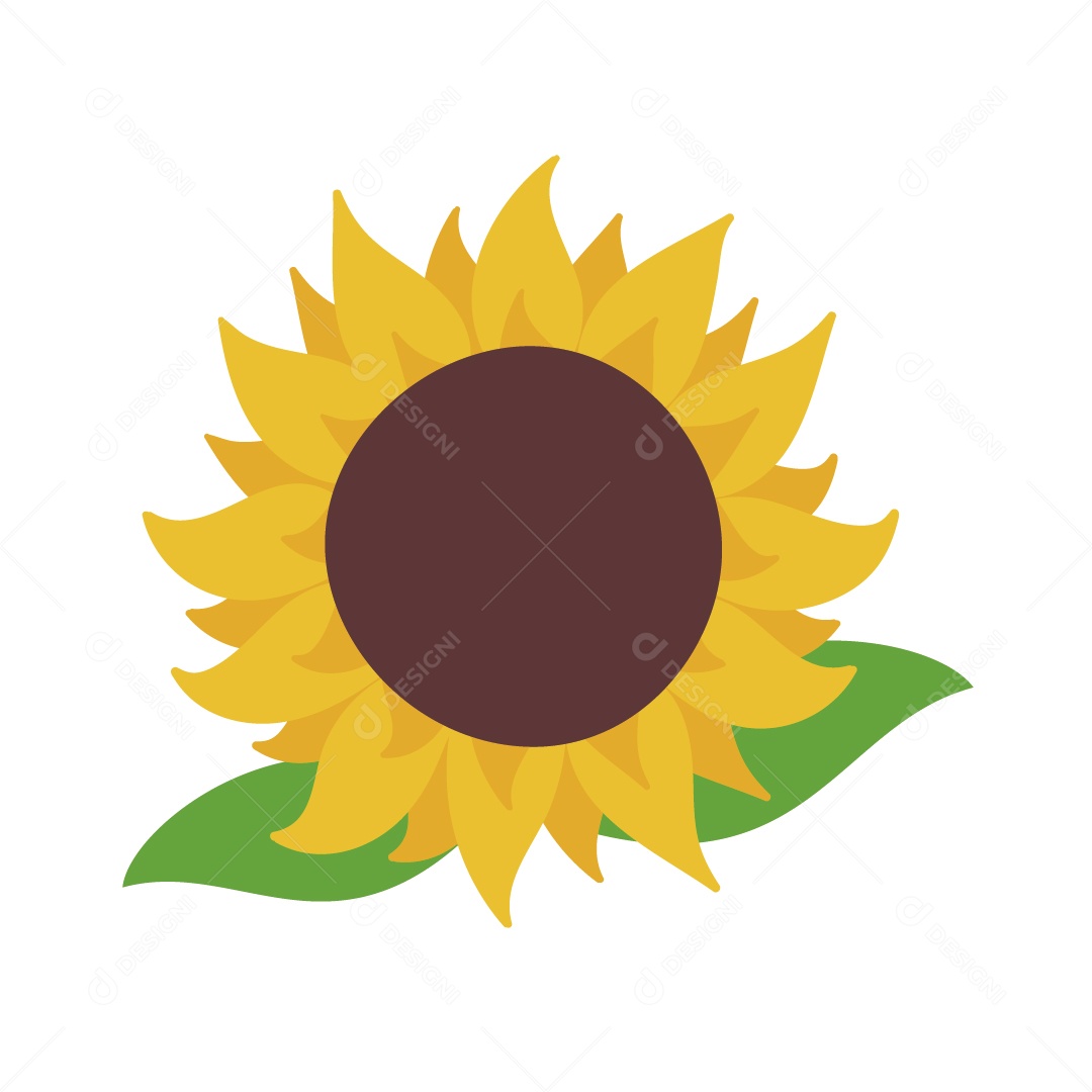 Flor Girassol Ilustração Vetor EPS