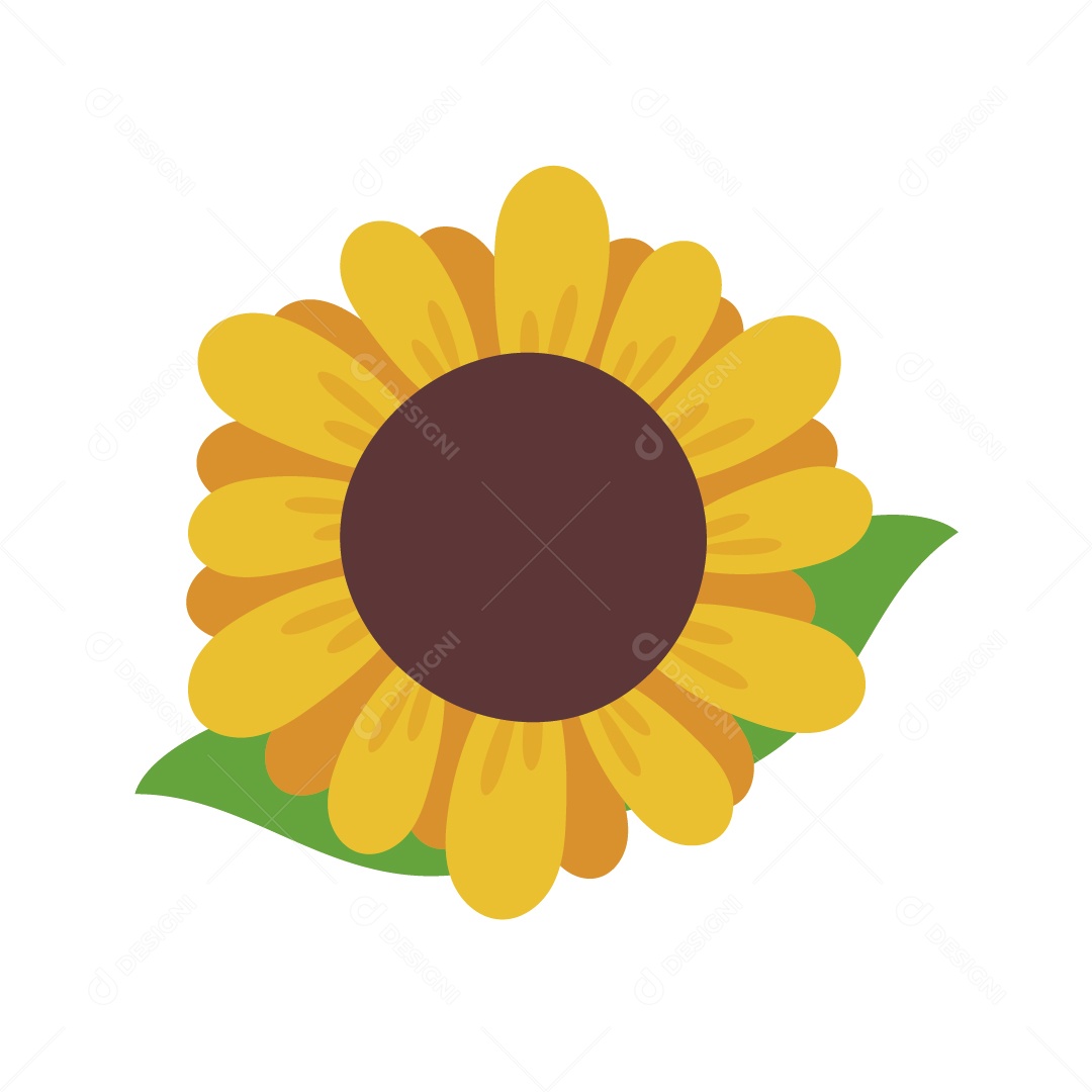 Flor Girassol Ilustração Vetor EPS