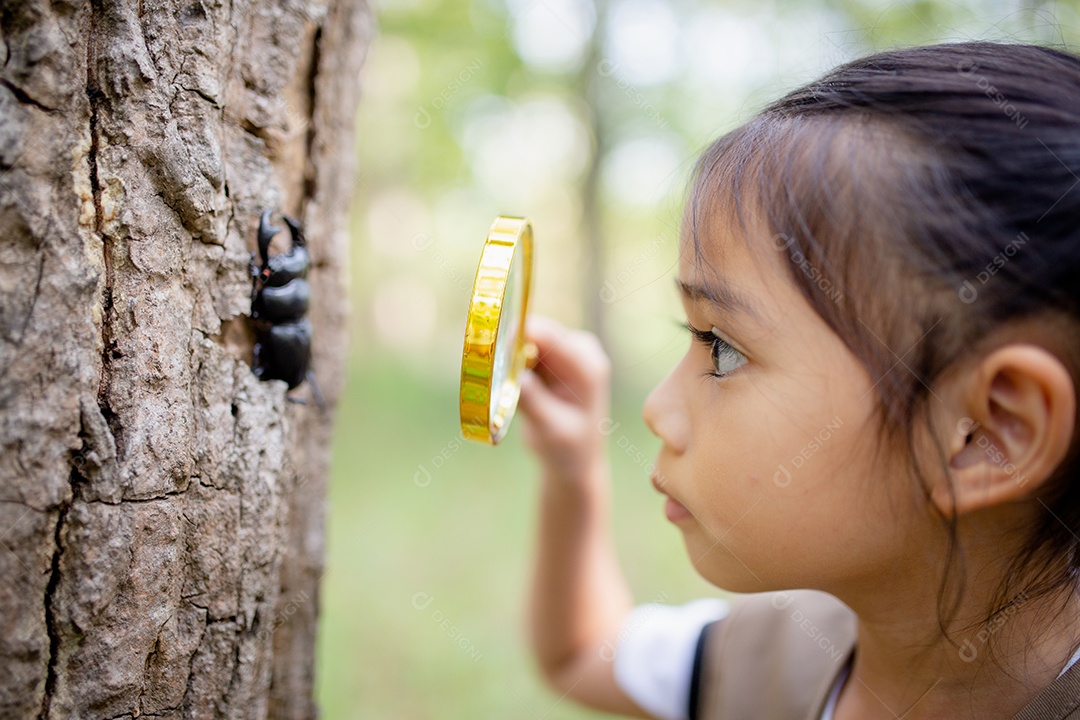 Uma garotinha asiática usando uma lupa para estudar um besouro-veado em um parque.
