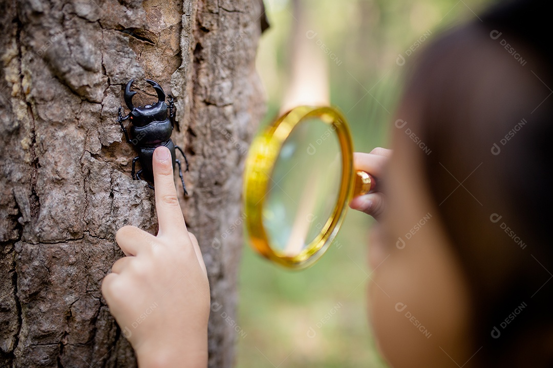 Uma garotinha asiática usando uma lupa para estudar um besouro-veado em um parque.