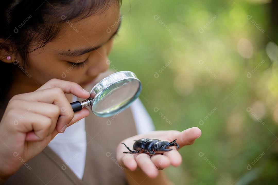Uma garotinha asiática usando uma lupa para estudar um besouro-veado em um parque.
