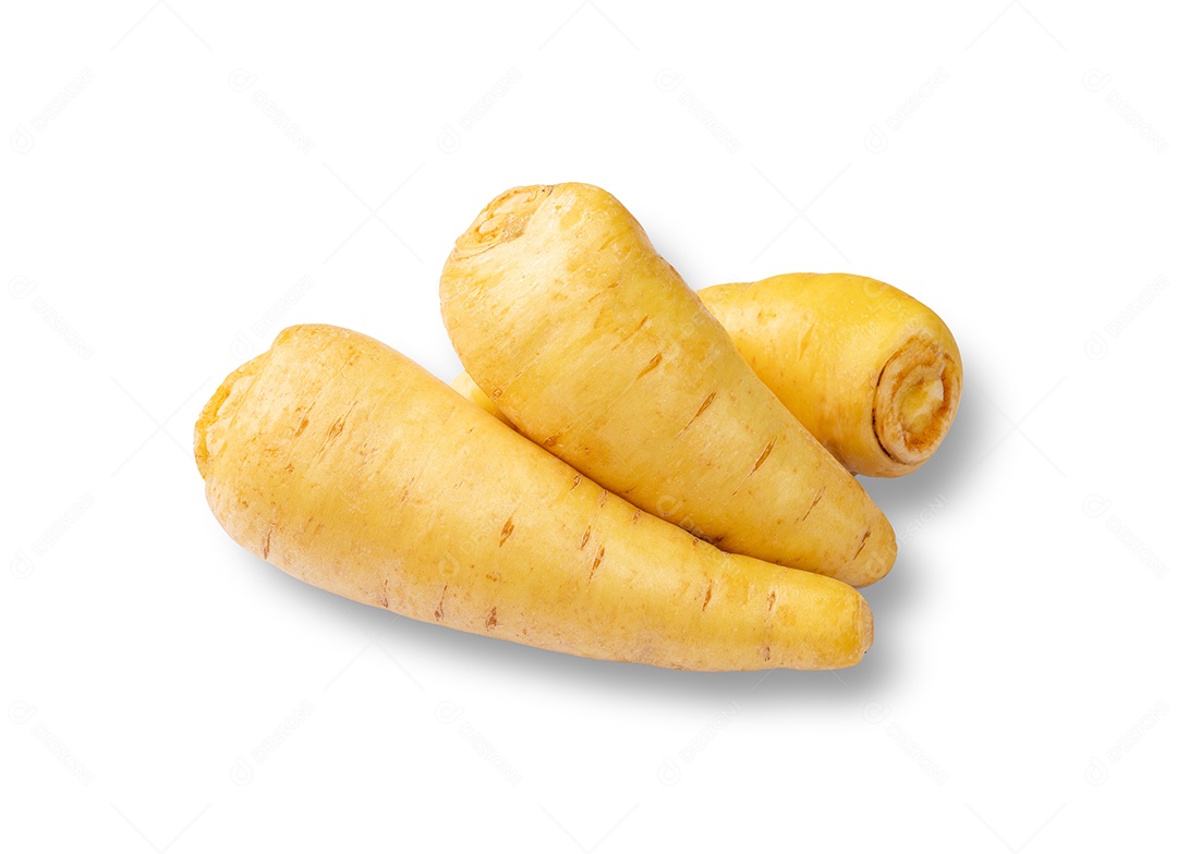 Mandioquinha crua ou mandioca isolada sobre fundo branco.