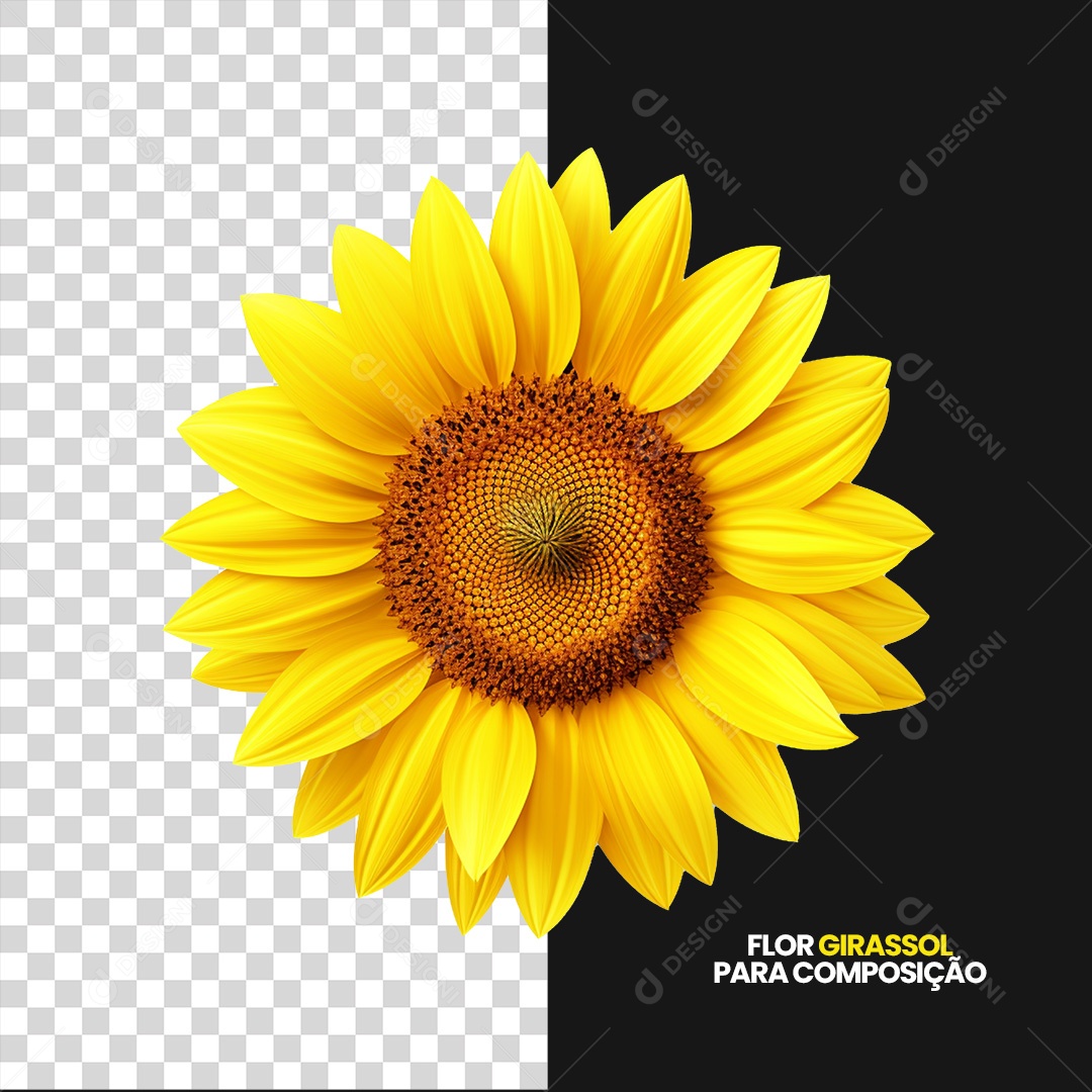 Flor Girassol Setembro Amarelo Elemento 3D Para Composição PSD