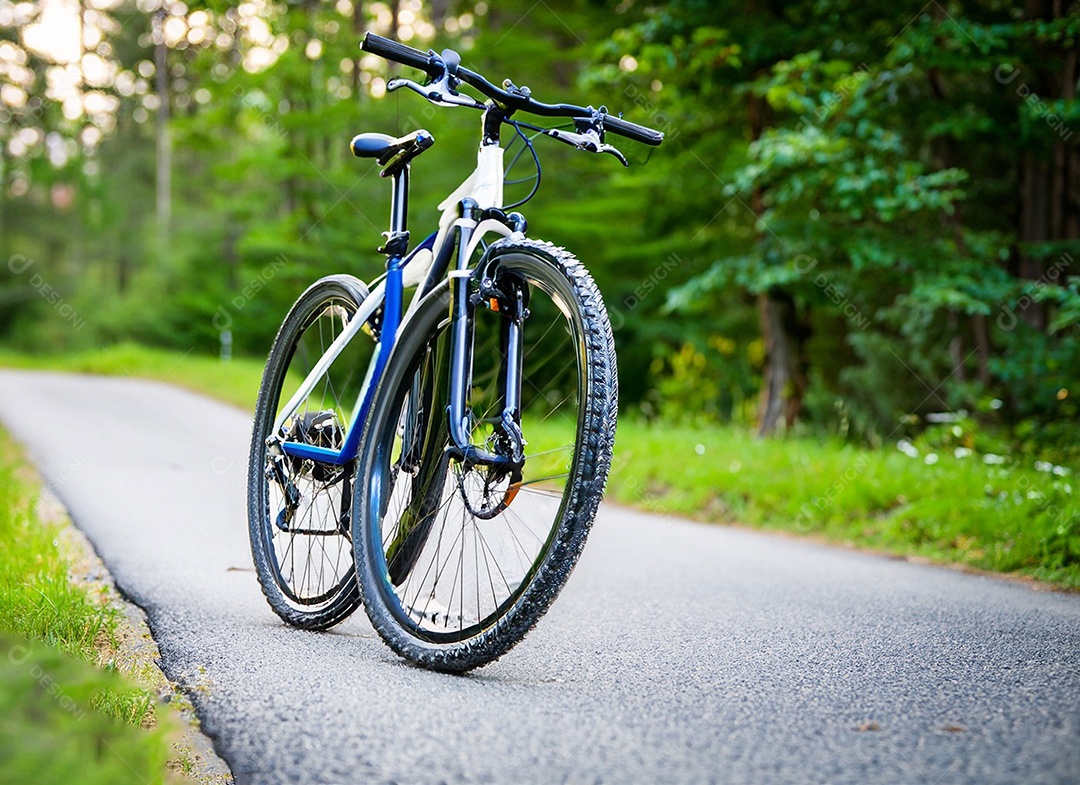 Uma bicicleta na estrada