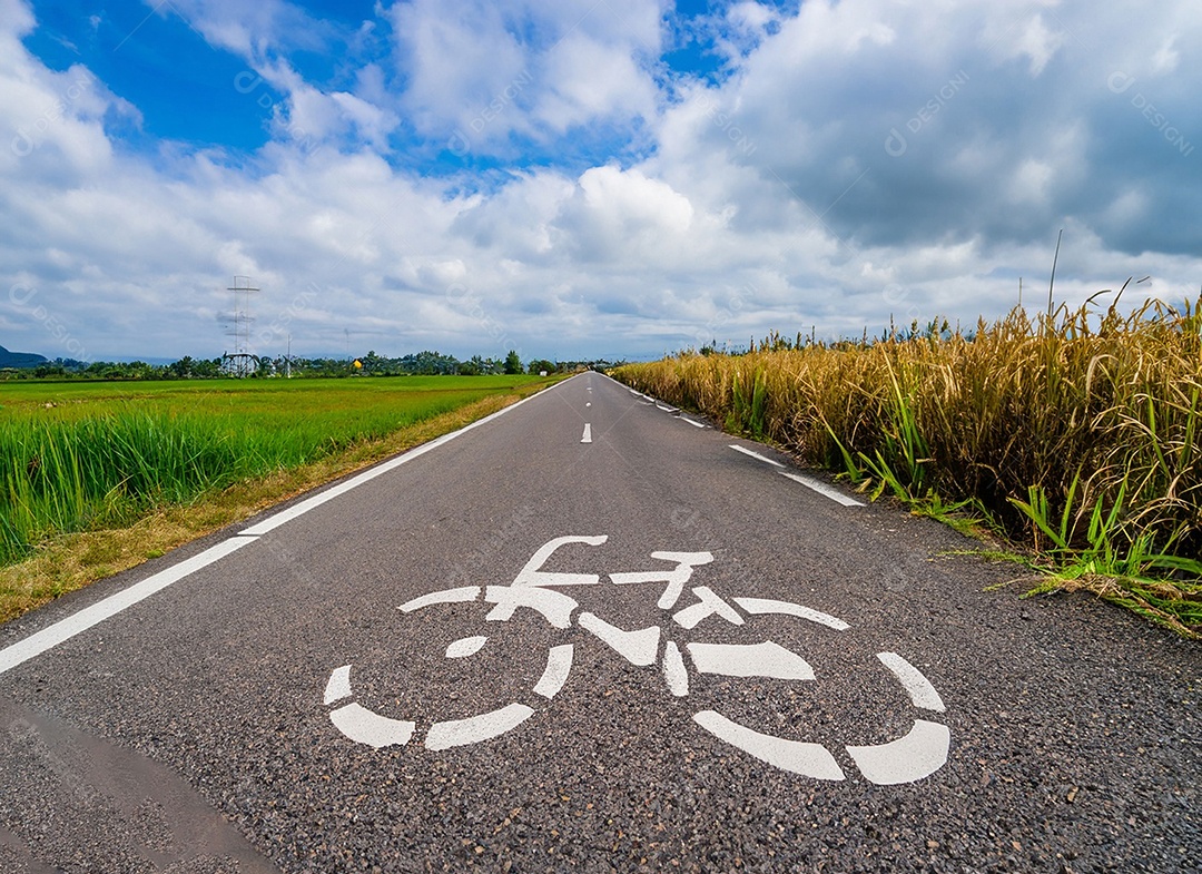 Uma bicicleta na estrada