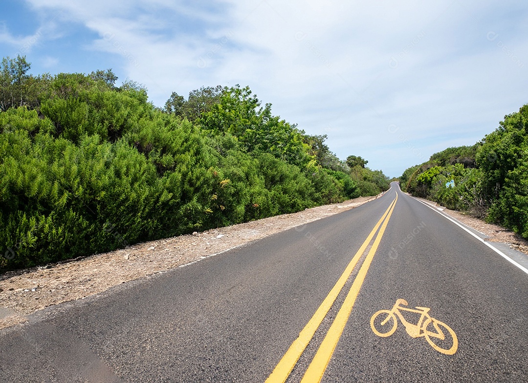 Uma bicicleta na estrada