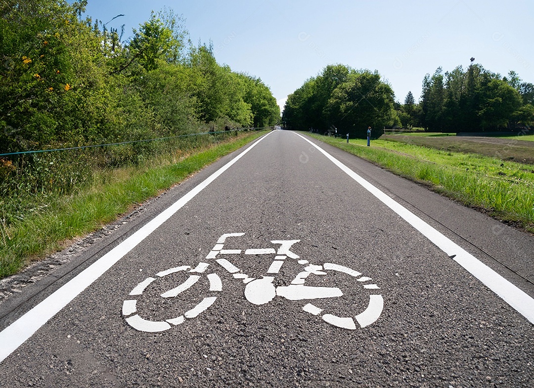 Bicicleta na estrada