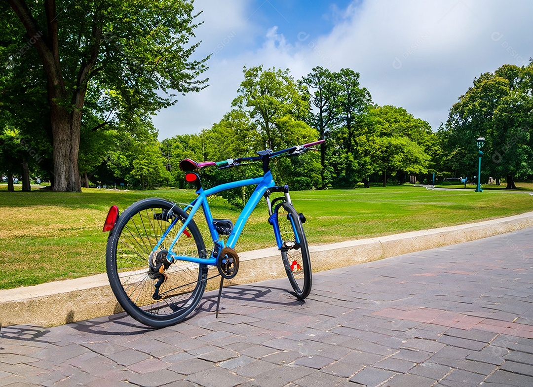 Bicicleta na estrada