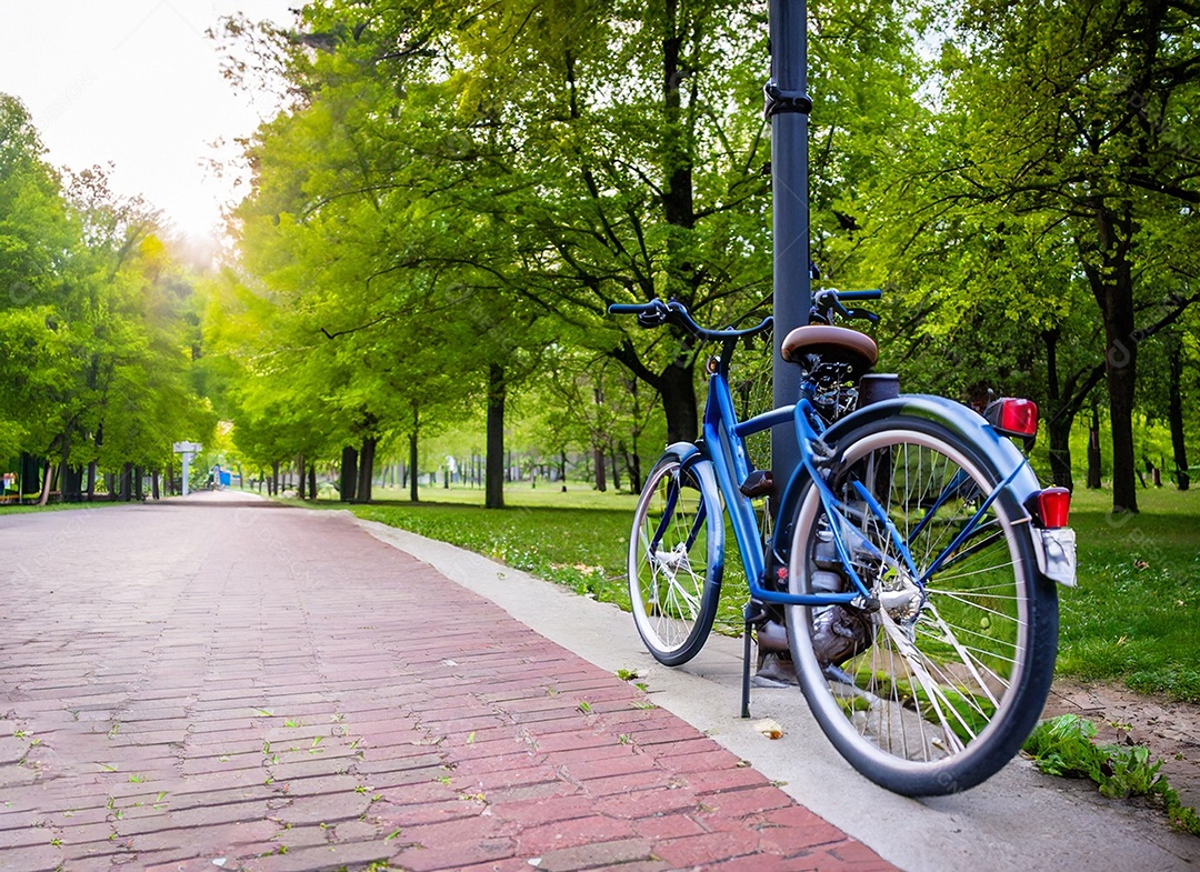 Bicicleta na estrada