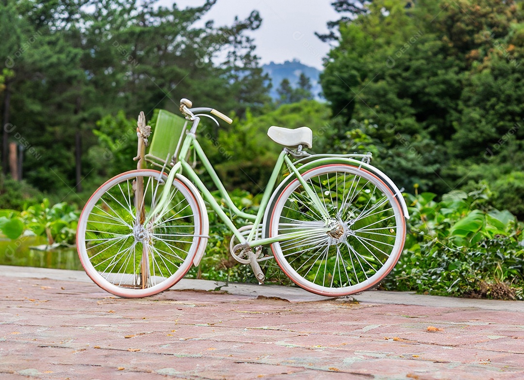 Bicicleta vintage ao ar livre