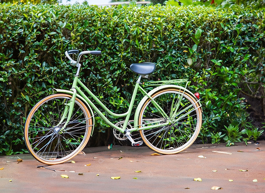Bicicleta vintage ao ar livre