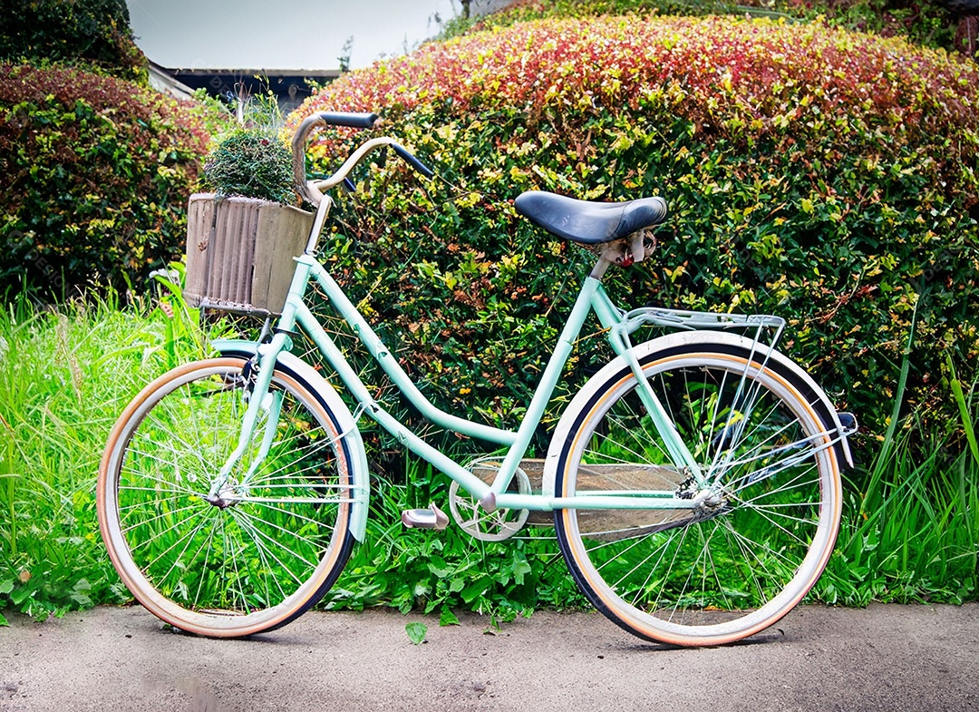 Bicicleta vintage ao ar livre