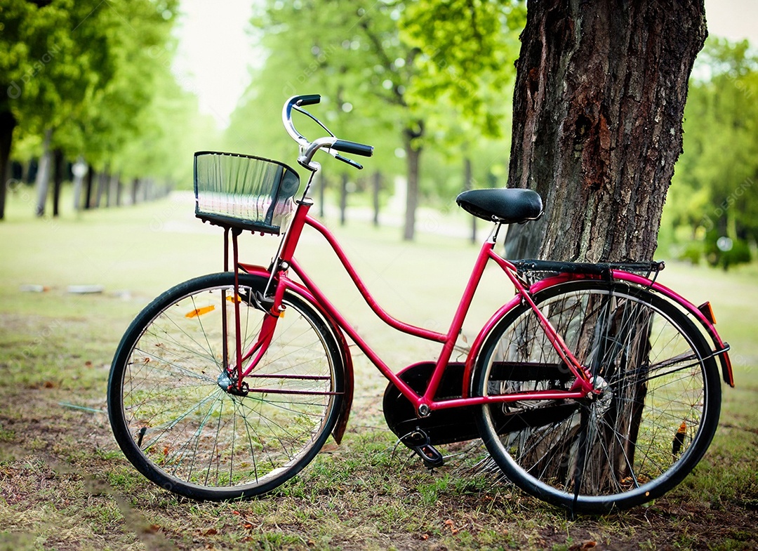 Bicicleta vintage ao ar livre