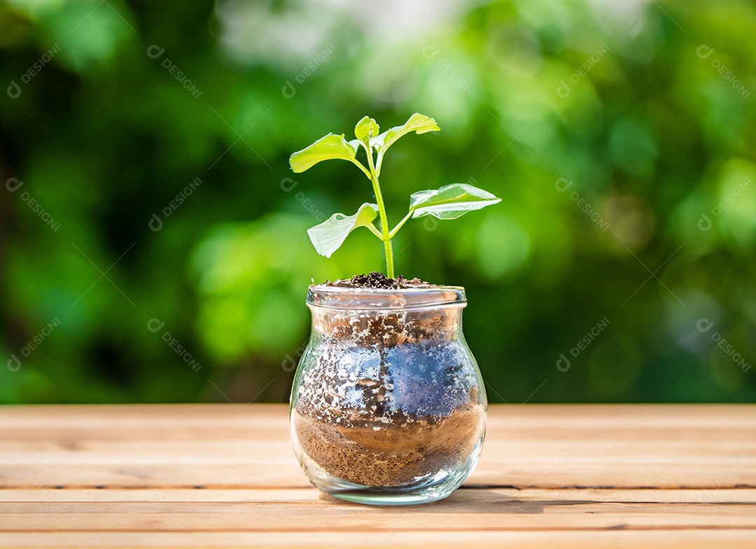 Uma planta em um copo