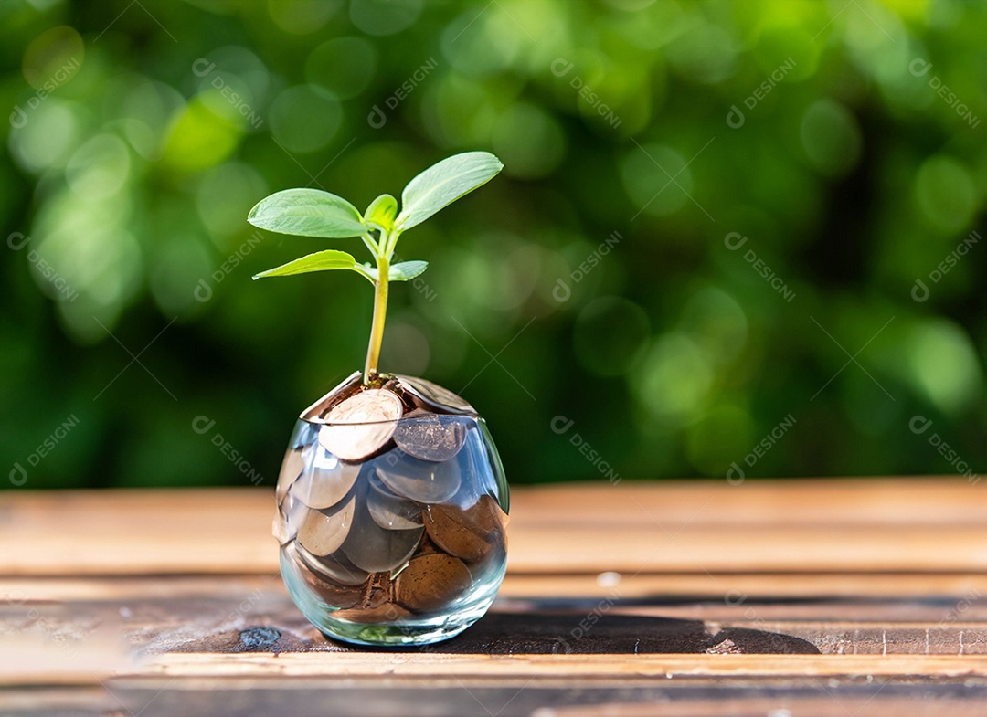 Uma planta em um copo