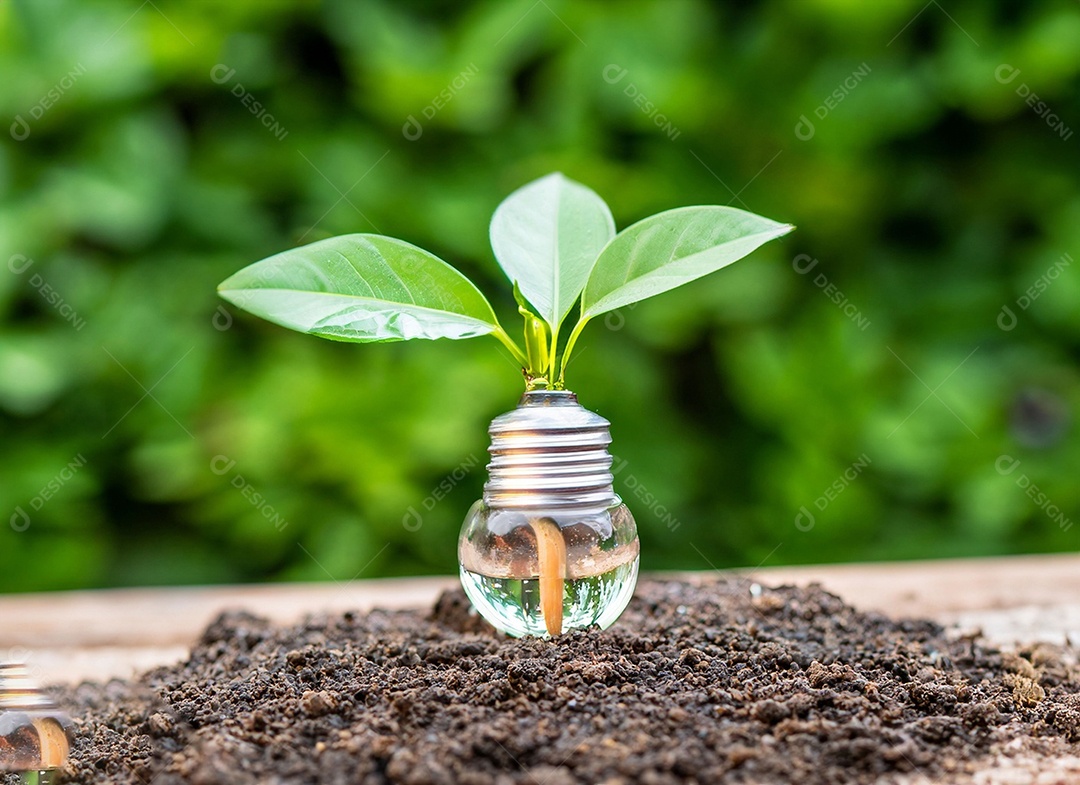 Uma planta em um copo