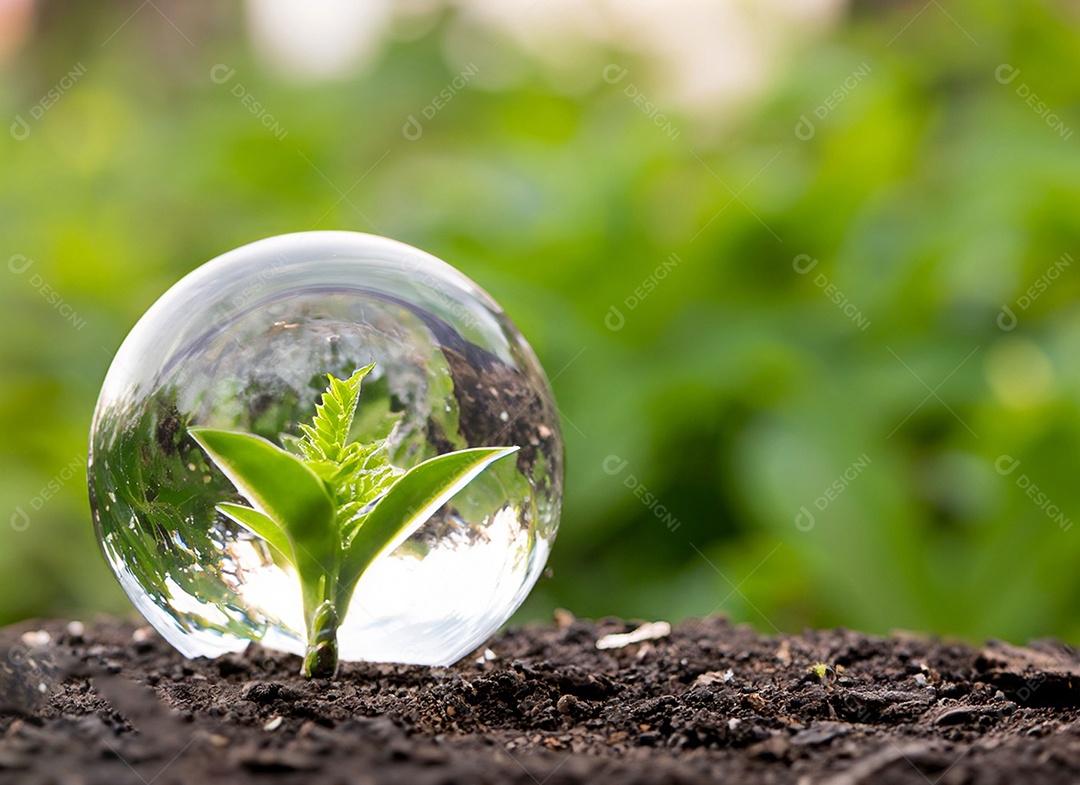 Uma planta em um copo