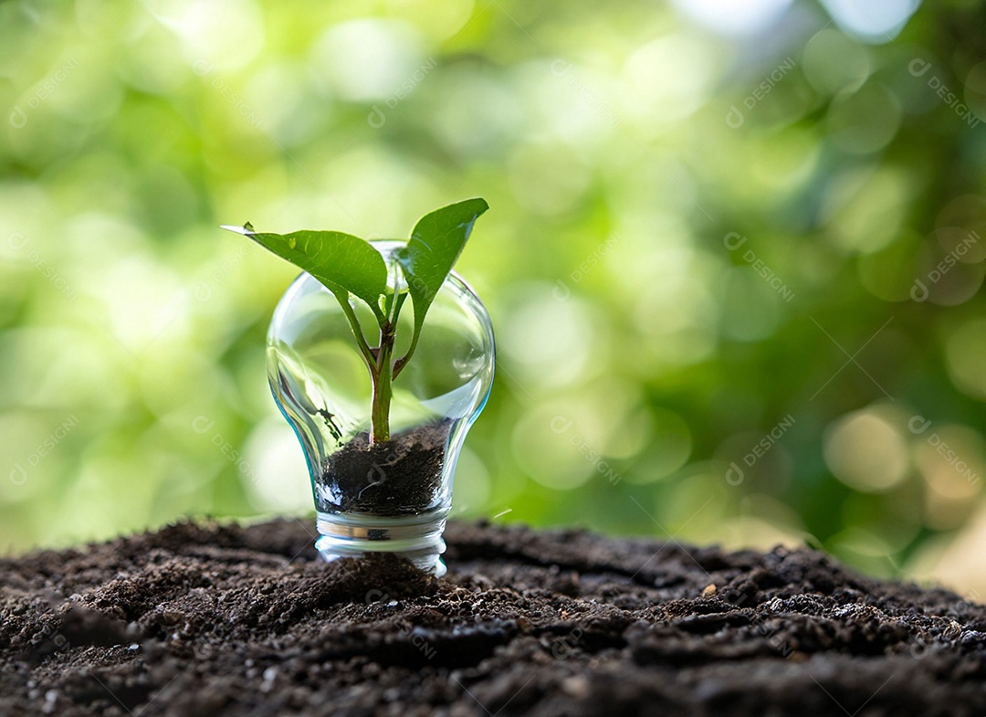 Uma planta em um copo