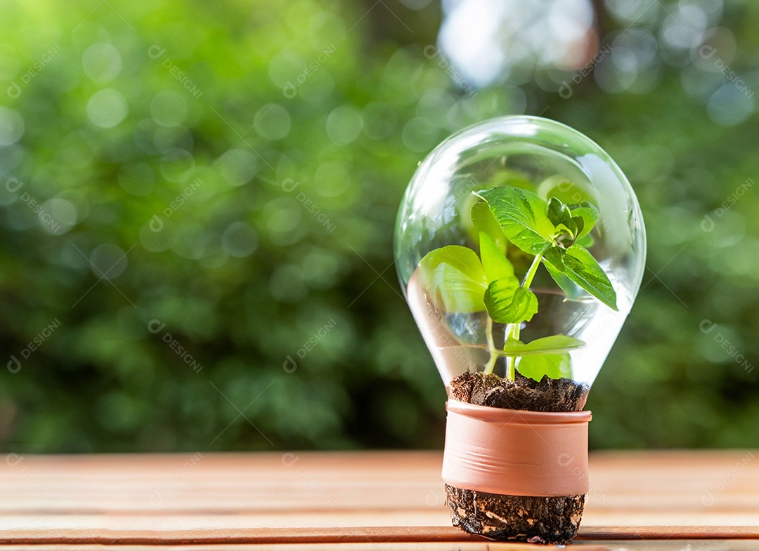 Uma planta em um copo