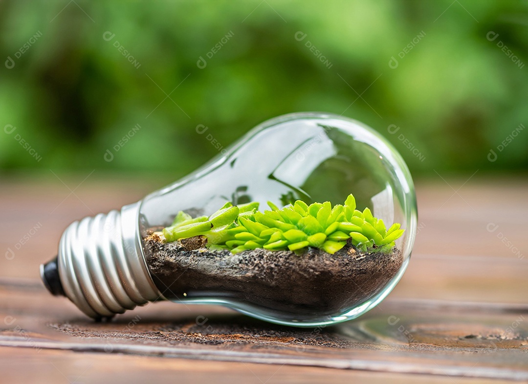 Uma planta em um copo