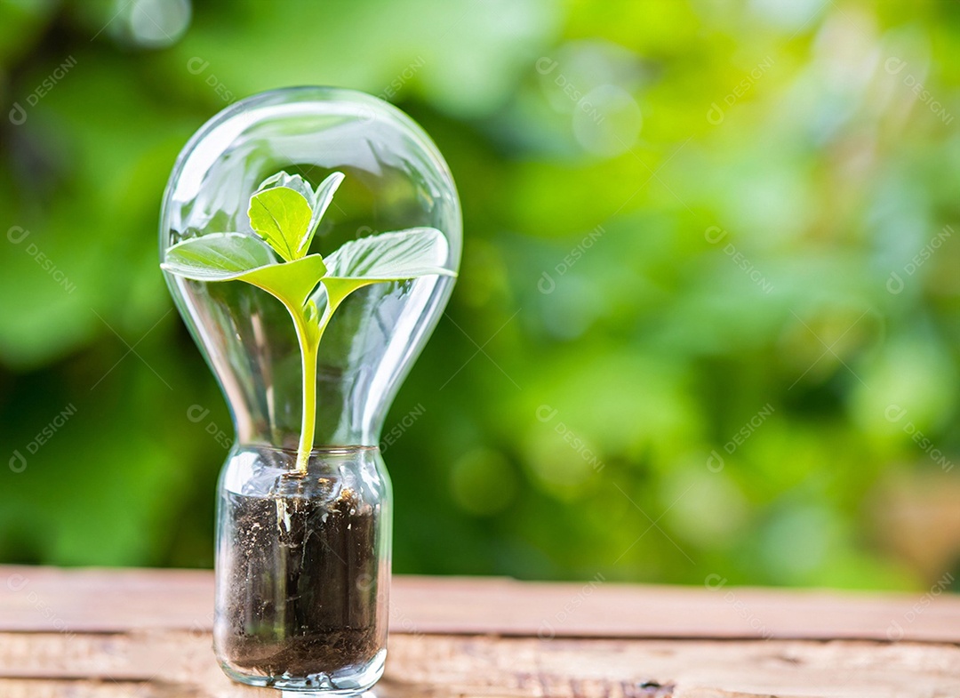 Uma planta em um copo