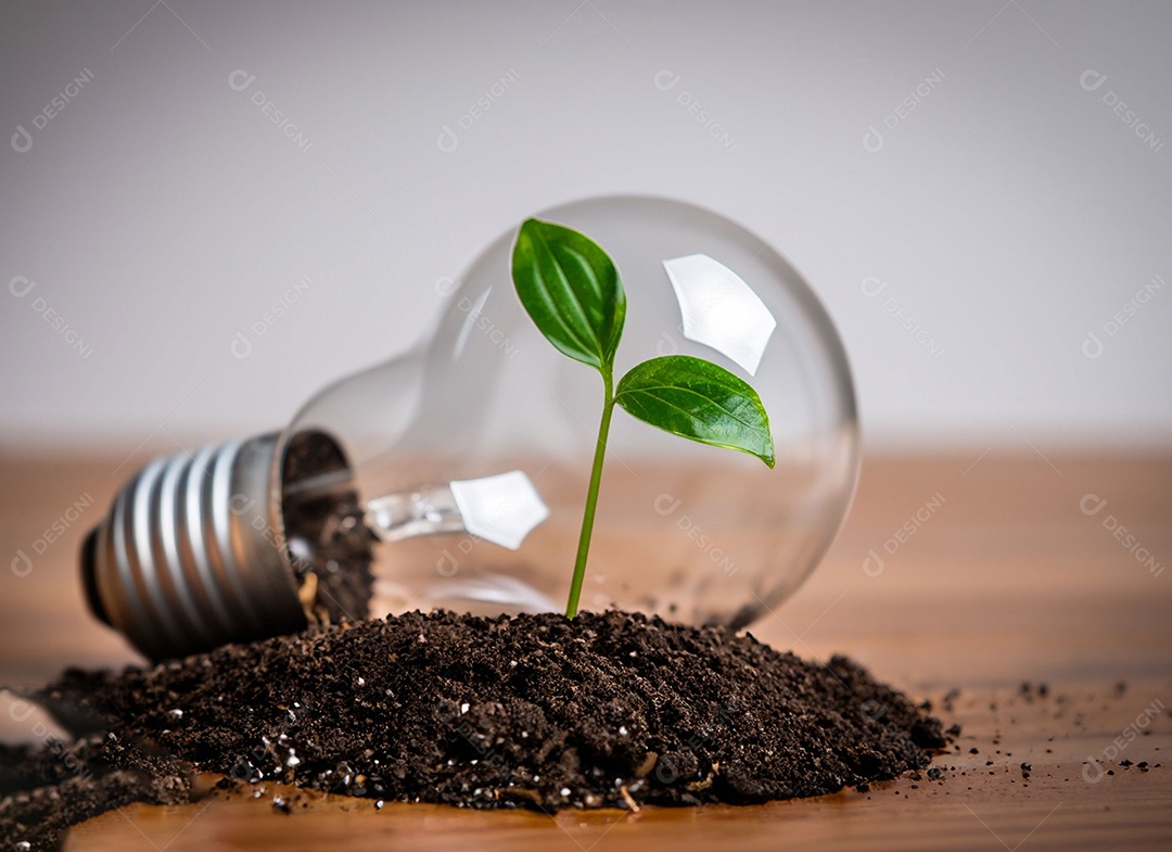 Uma planta em um copo