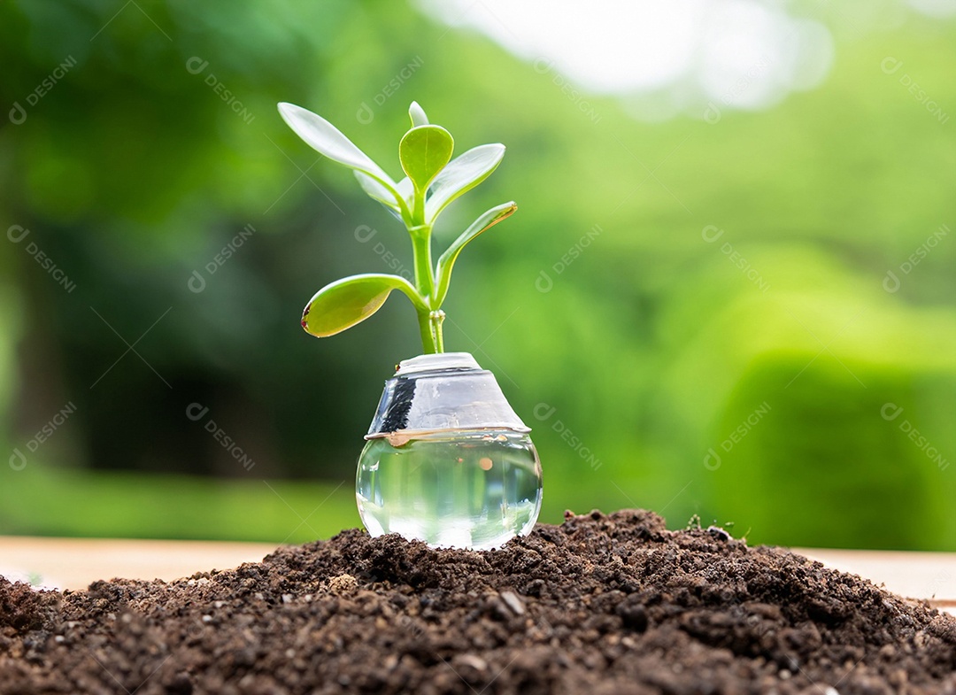 Uma planta em um copo