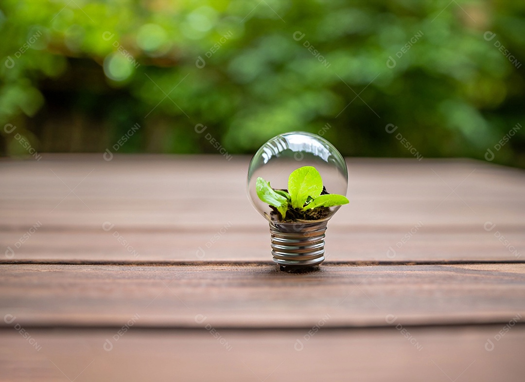 Uma planta em um copo