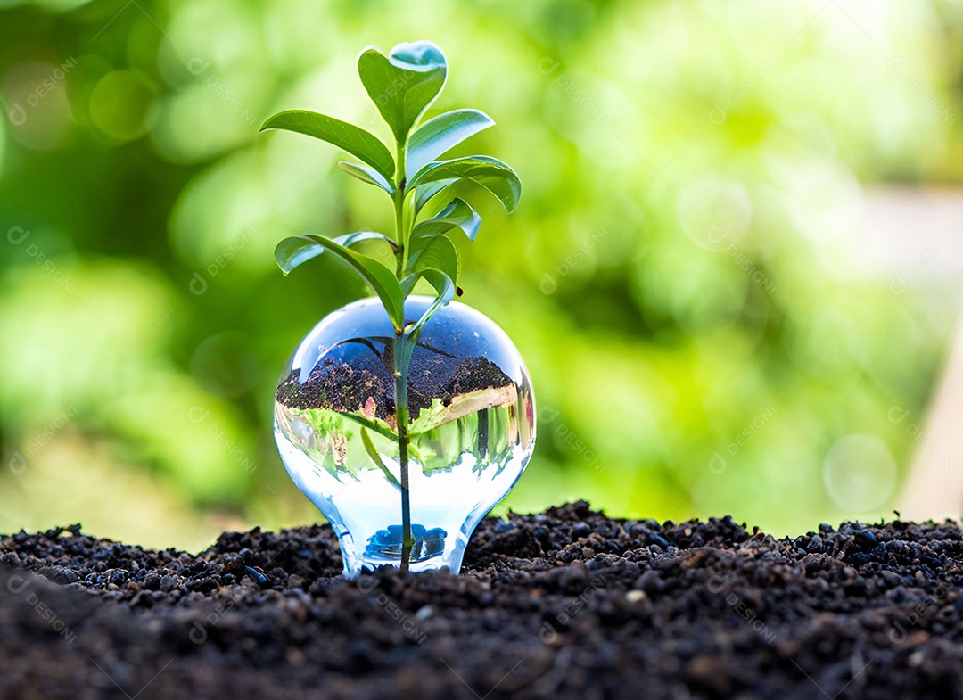 Uma planta em um copo