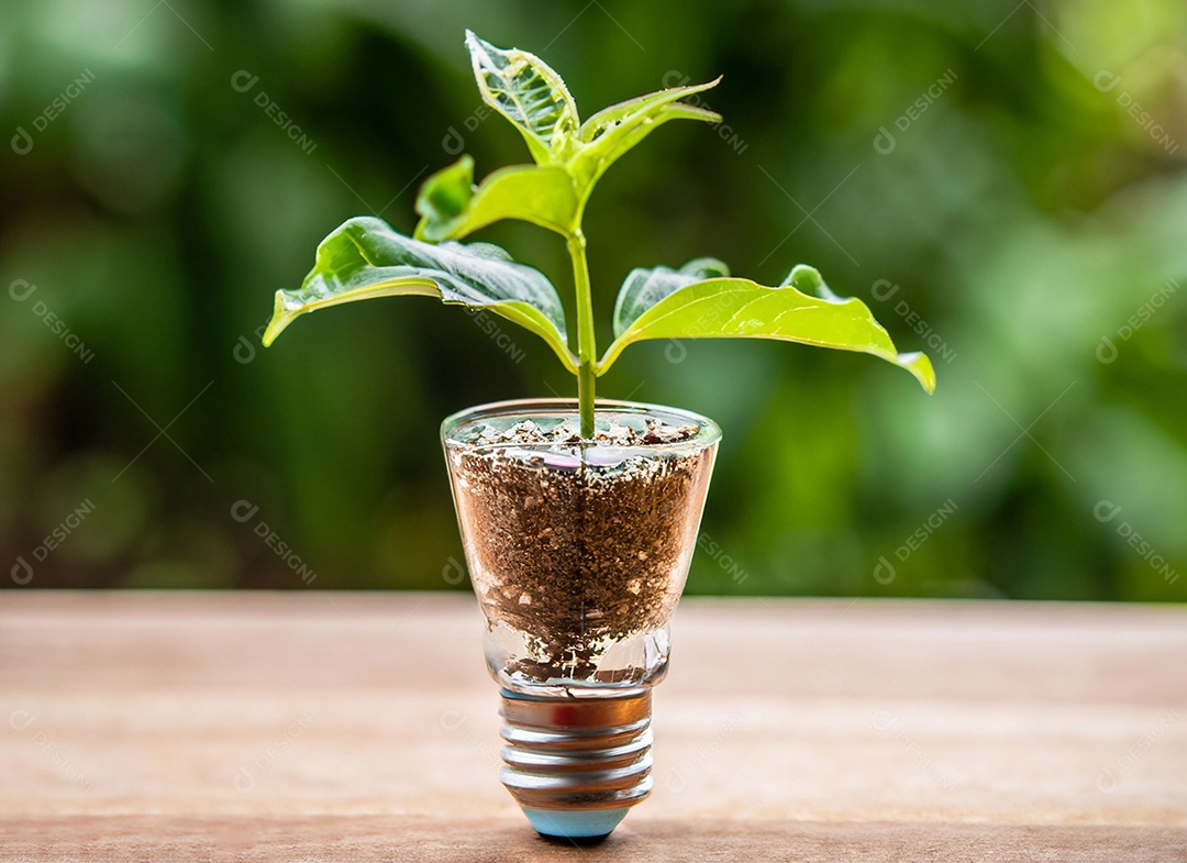 Uma planta em um copo