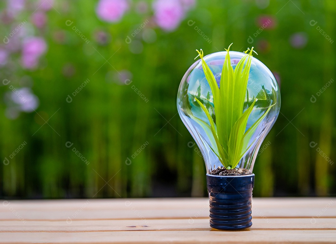 Uma planta em um copo