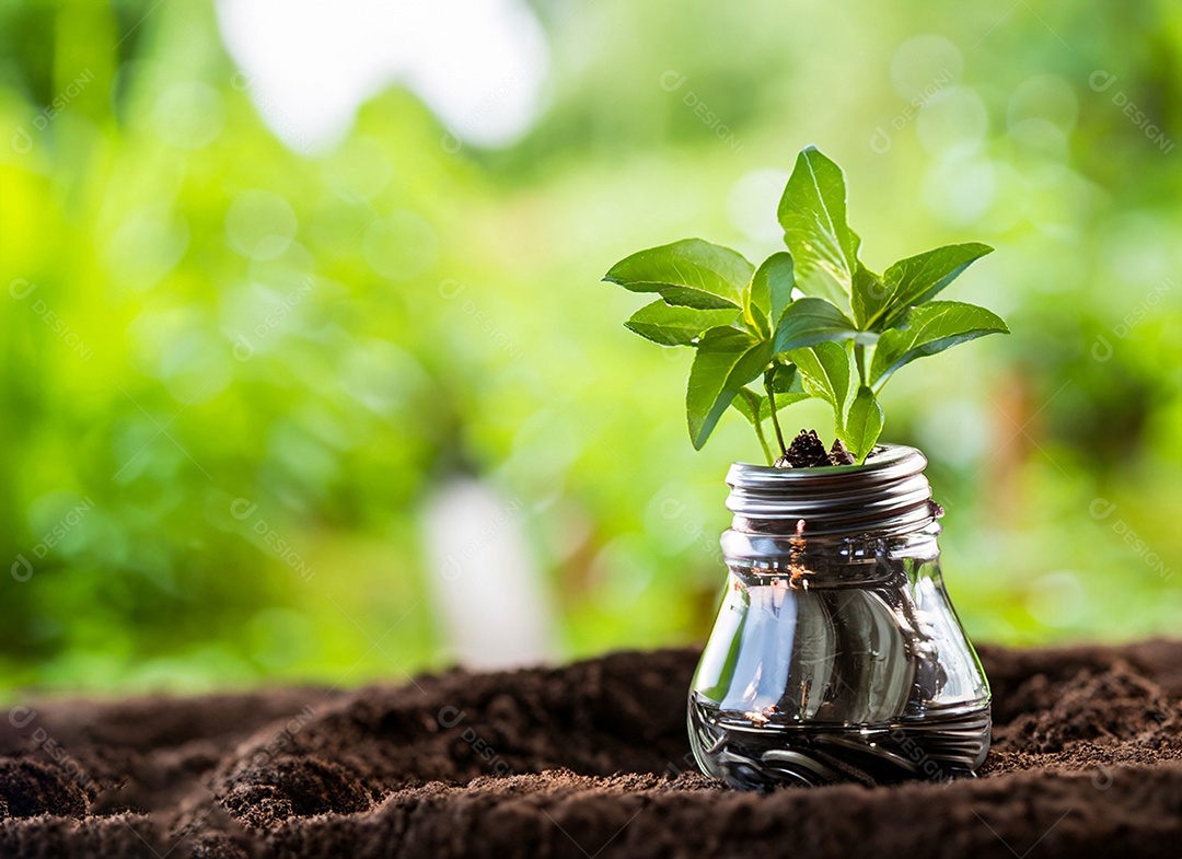 Uma planta em um copo