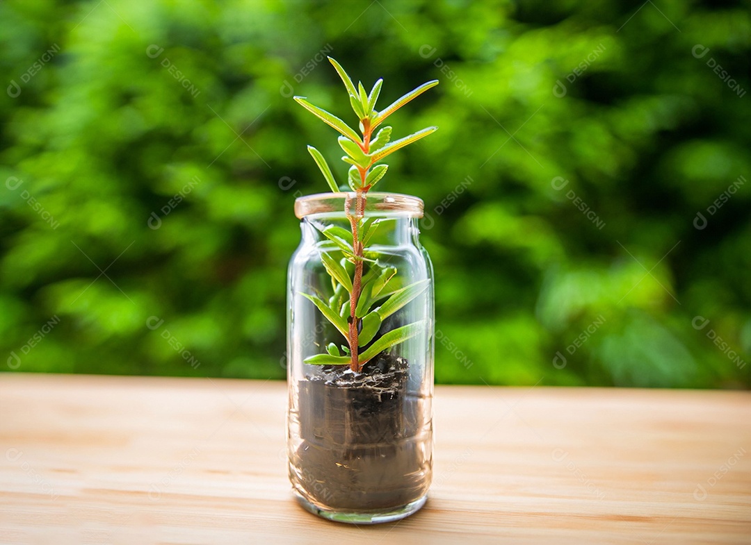 Uma planta em um copo