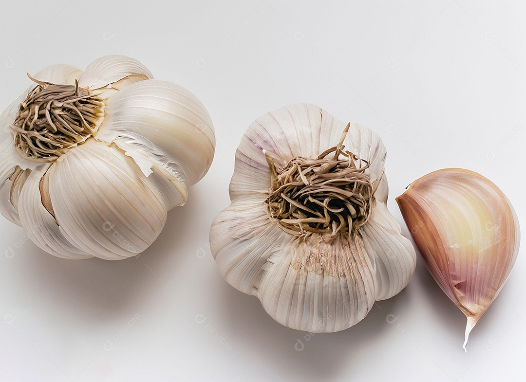 Alho em fundo branco