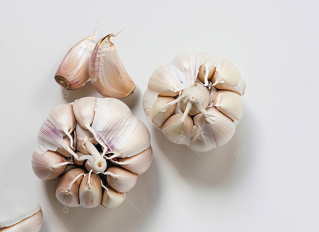 Alho em fundo branco