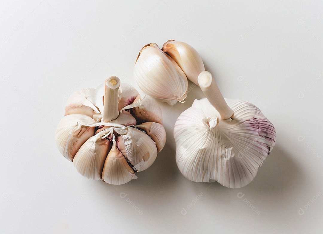 Alho em fundo branco