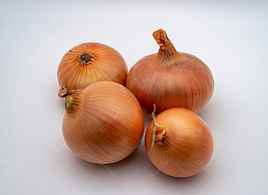 Cebolas em fundo branco