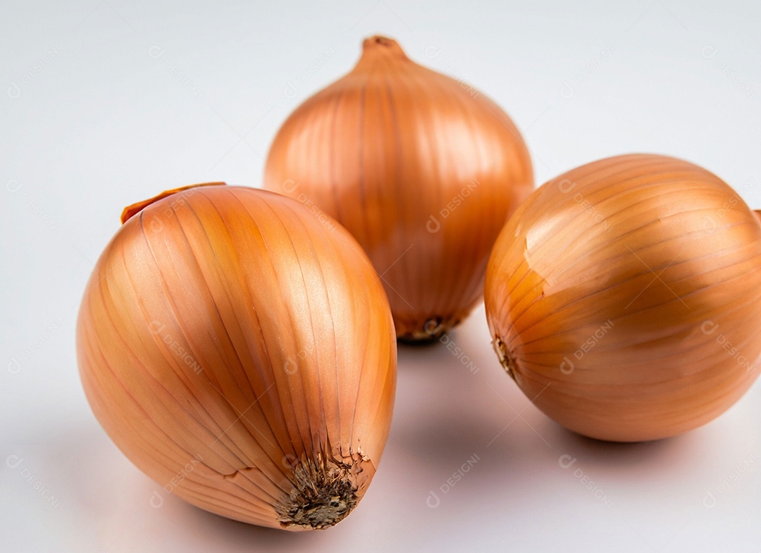 Cebolas em fundo branco