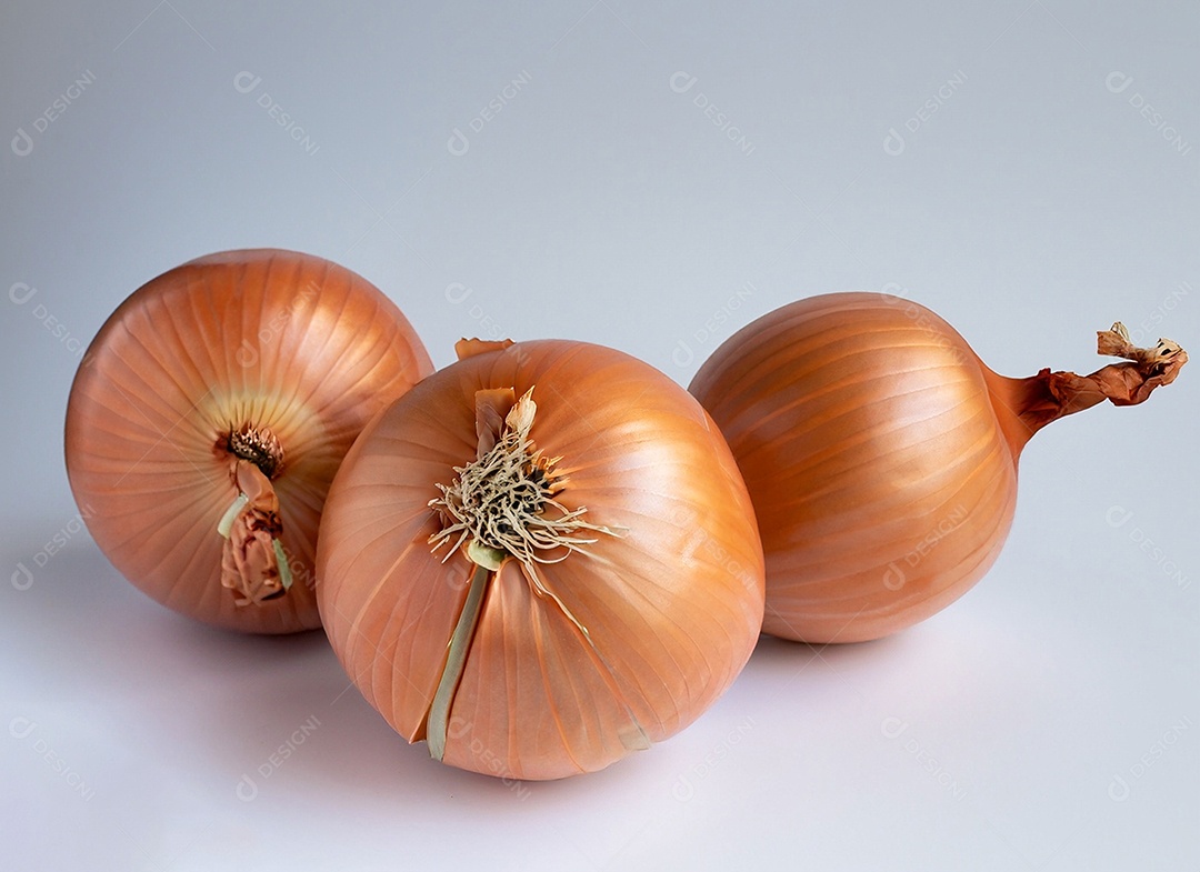 Cebolas em fundo branco
