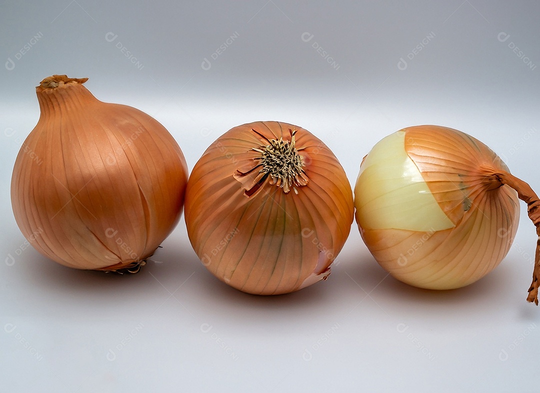 Cebolas em fundo branco