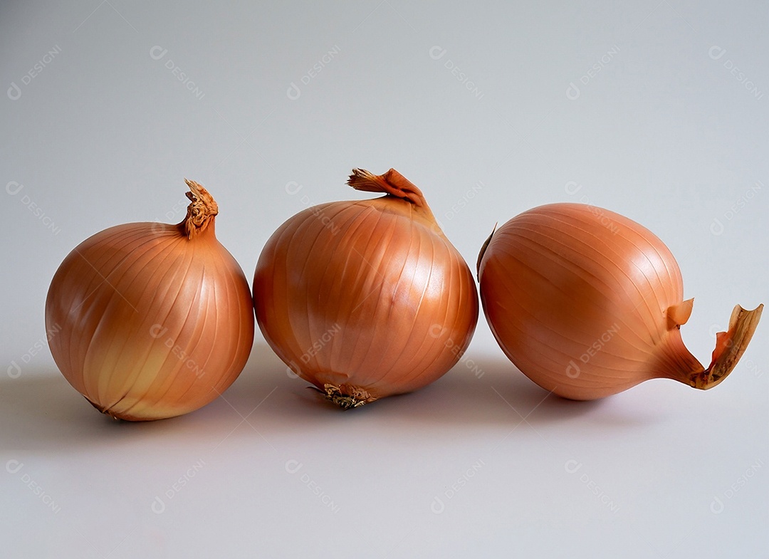 Cebolas em fundo branco