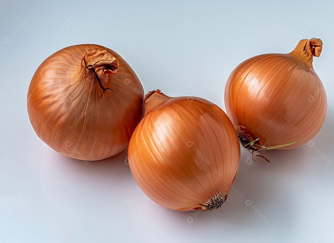 Cebolas em fundo branco