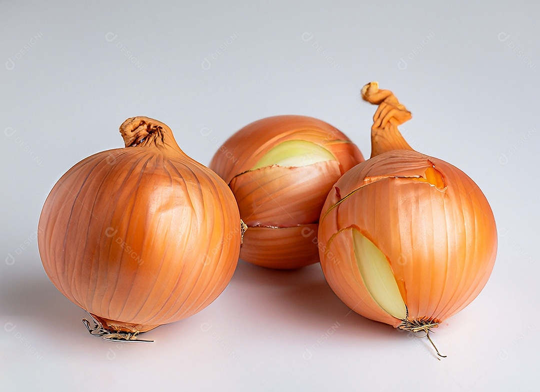 Cebolas em fundo branco
