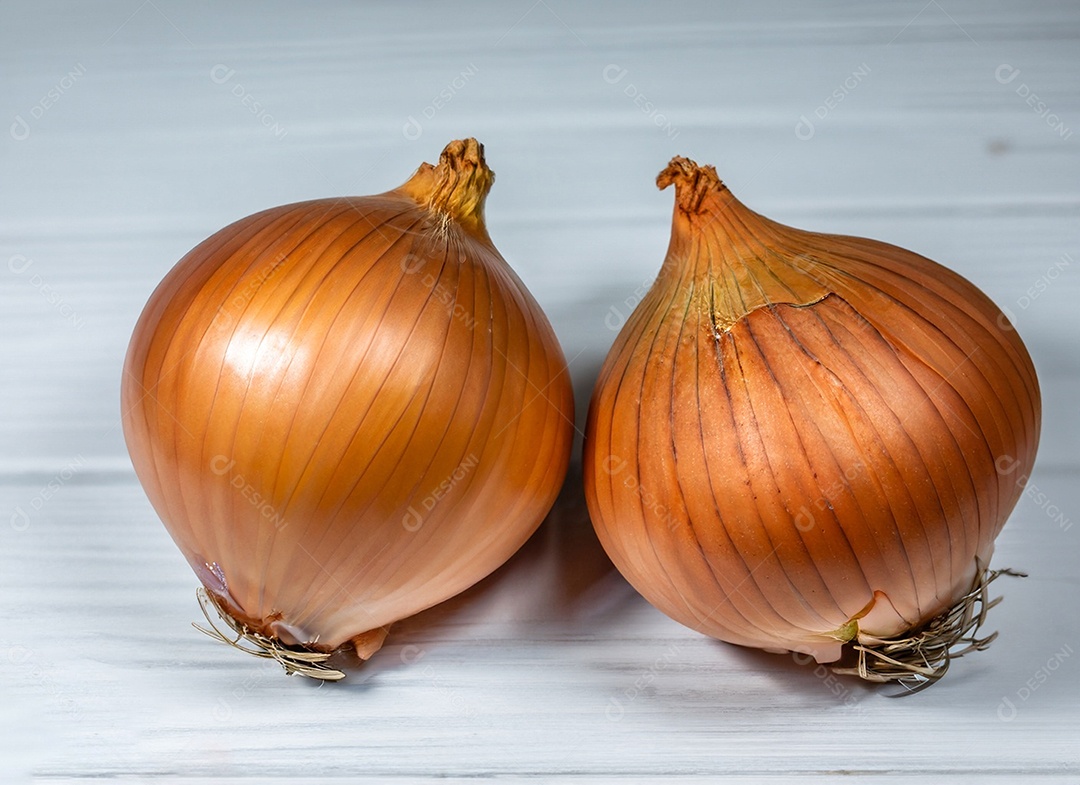 Cebolas em fundo branco